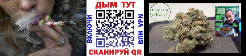 Каннабис OG Kush  Щёлкино 